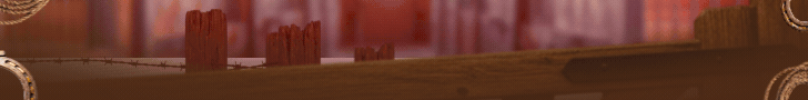 spot_img
